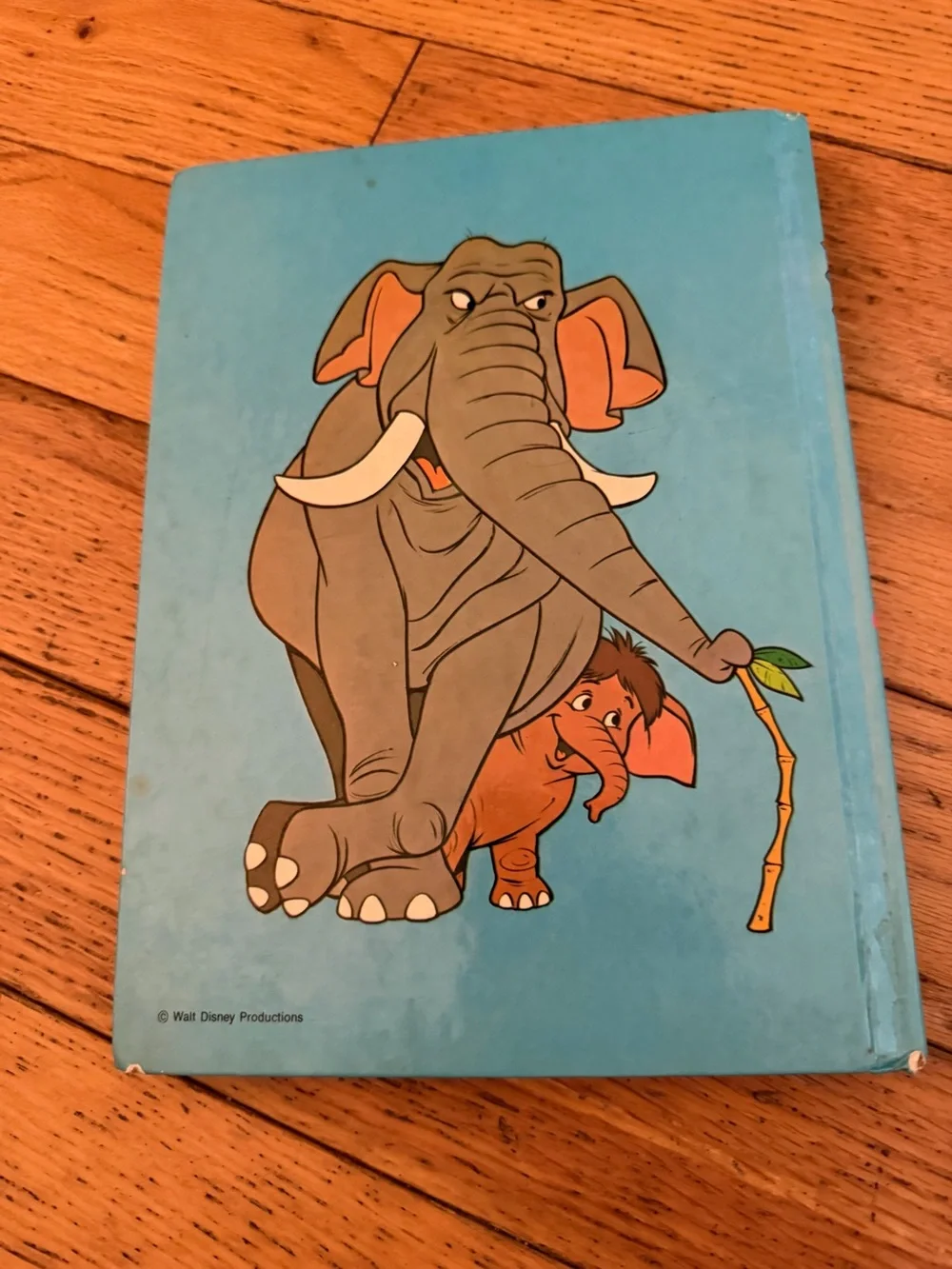 Disney Blue Picture Book - Words That Tell You About Things